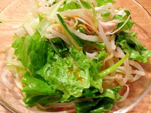 節約に！もやしでボリューム！中華風レタスサラダ